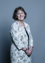 Baroness Scott of Needham Market Profile Image