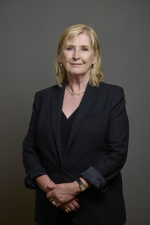 Baroness Levitt Profile Image